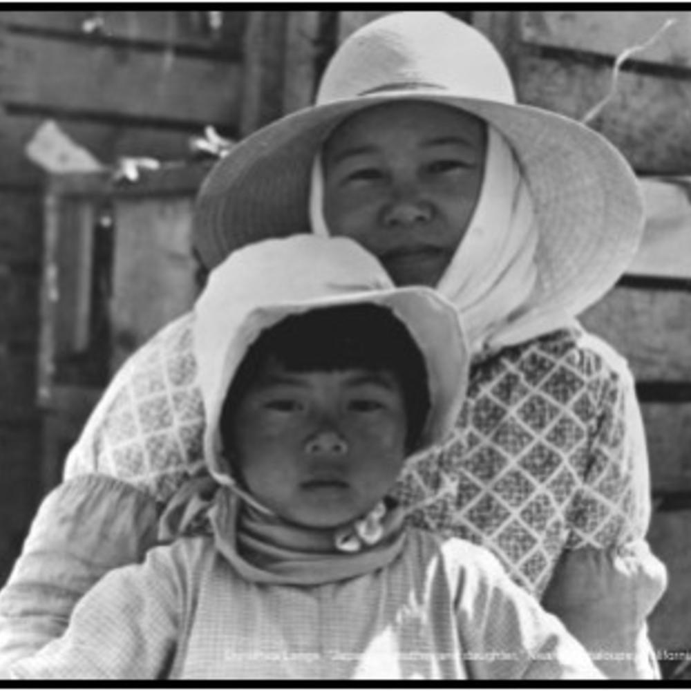       The Japanese-American Experience During WWII
  